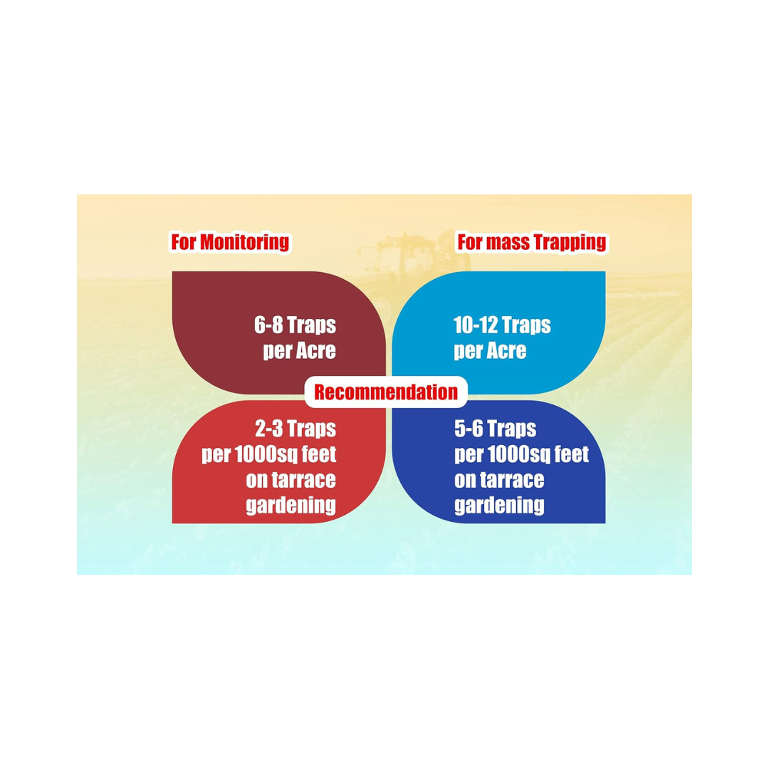 Chipku - Bactocera Dorsalis Fruit Fly Outdoor maxplus/Macphill Pheromone Trap with Lure