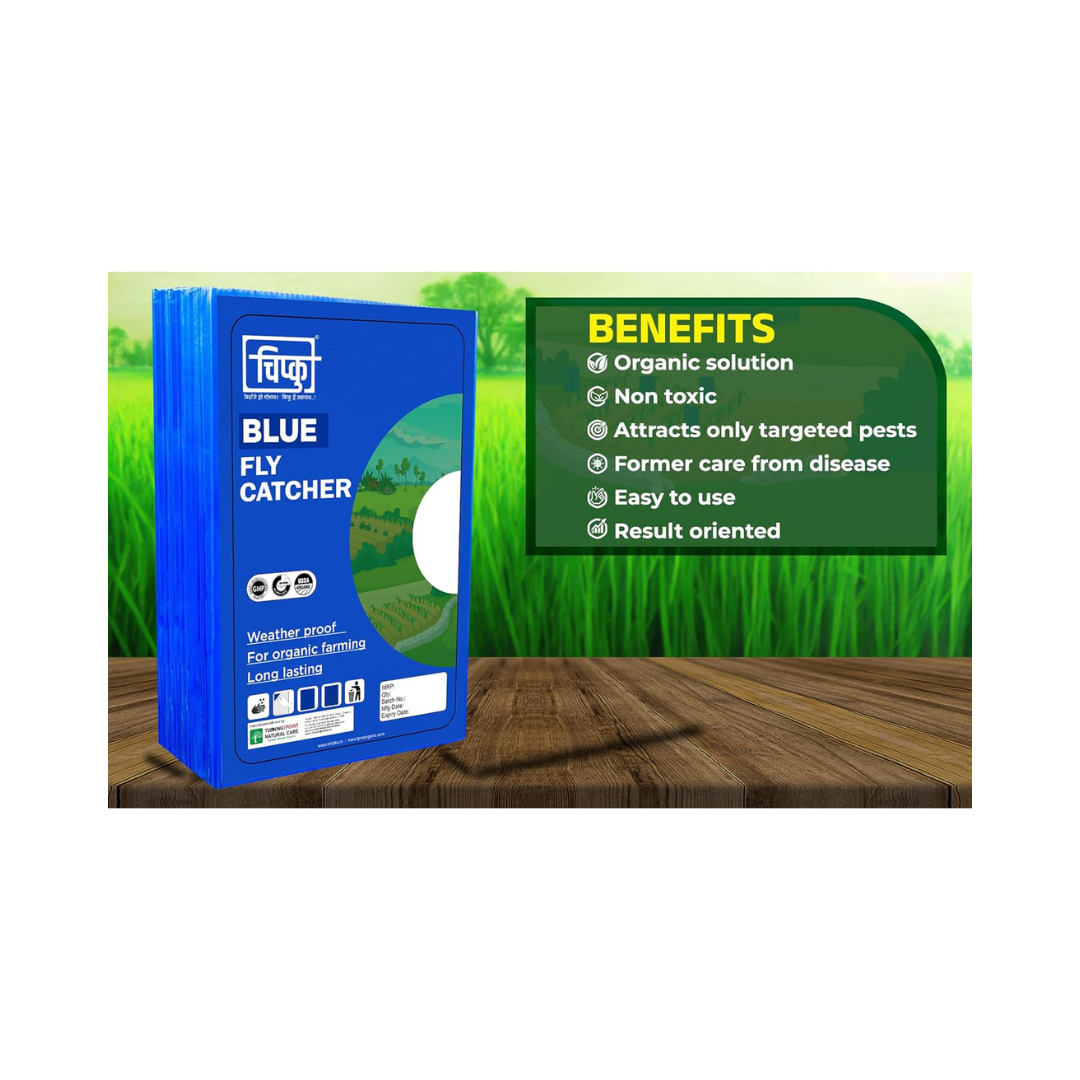 Chipku - Blue Fly Catcher Size A4 | Buy Online at Best Price Now