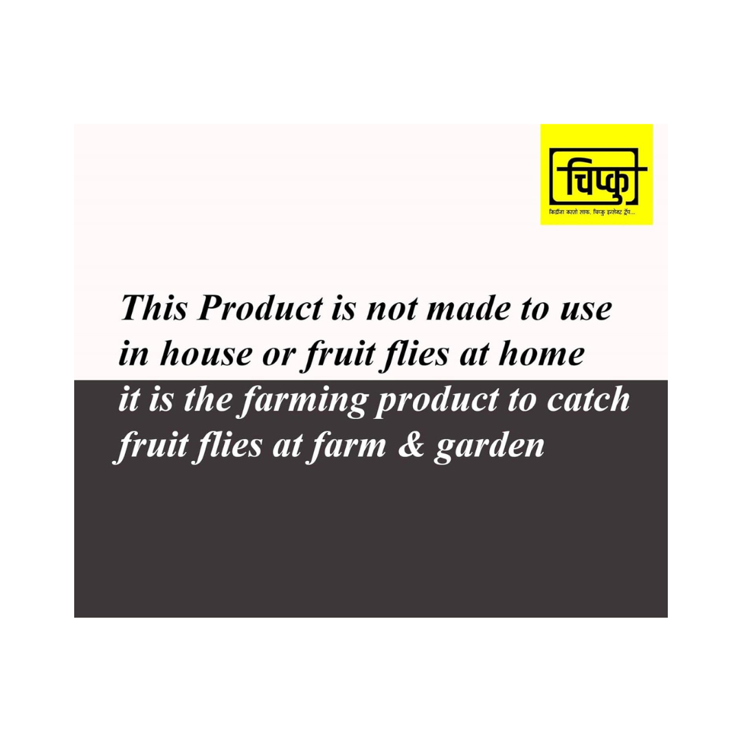 Chipku - Bucket Trap with Rhinoceros Beetle Pheromone Lure - Buy Now