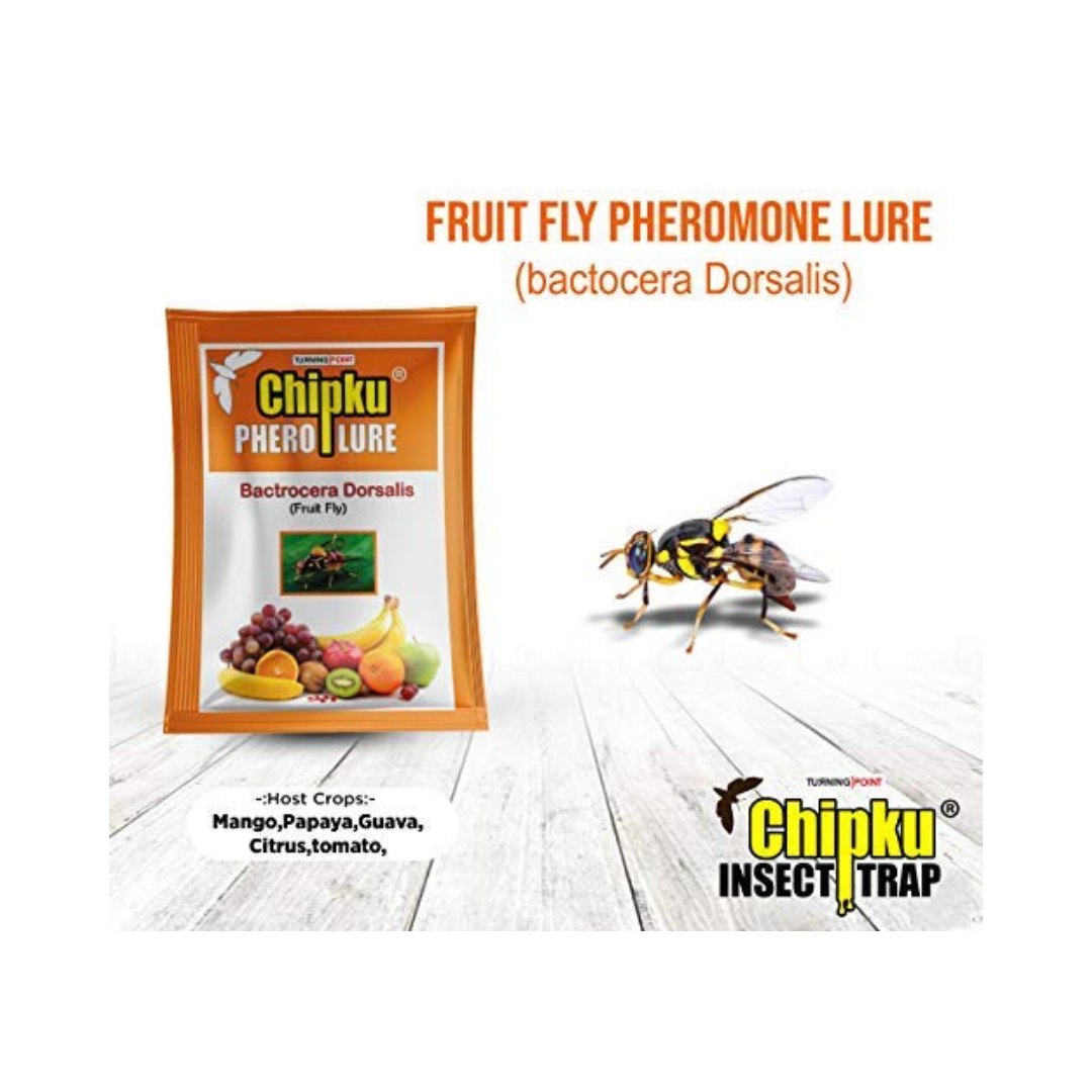Chipku - Bactrocera Dorsalis (Fruit Fly) Lure | Buy Online - DesiKheti