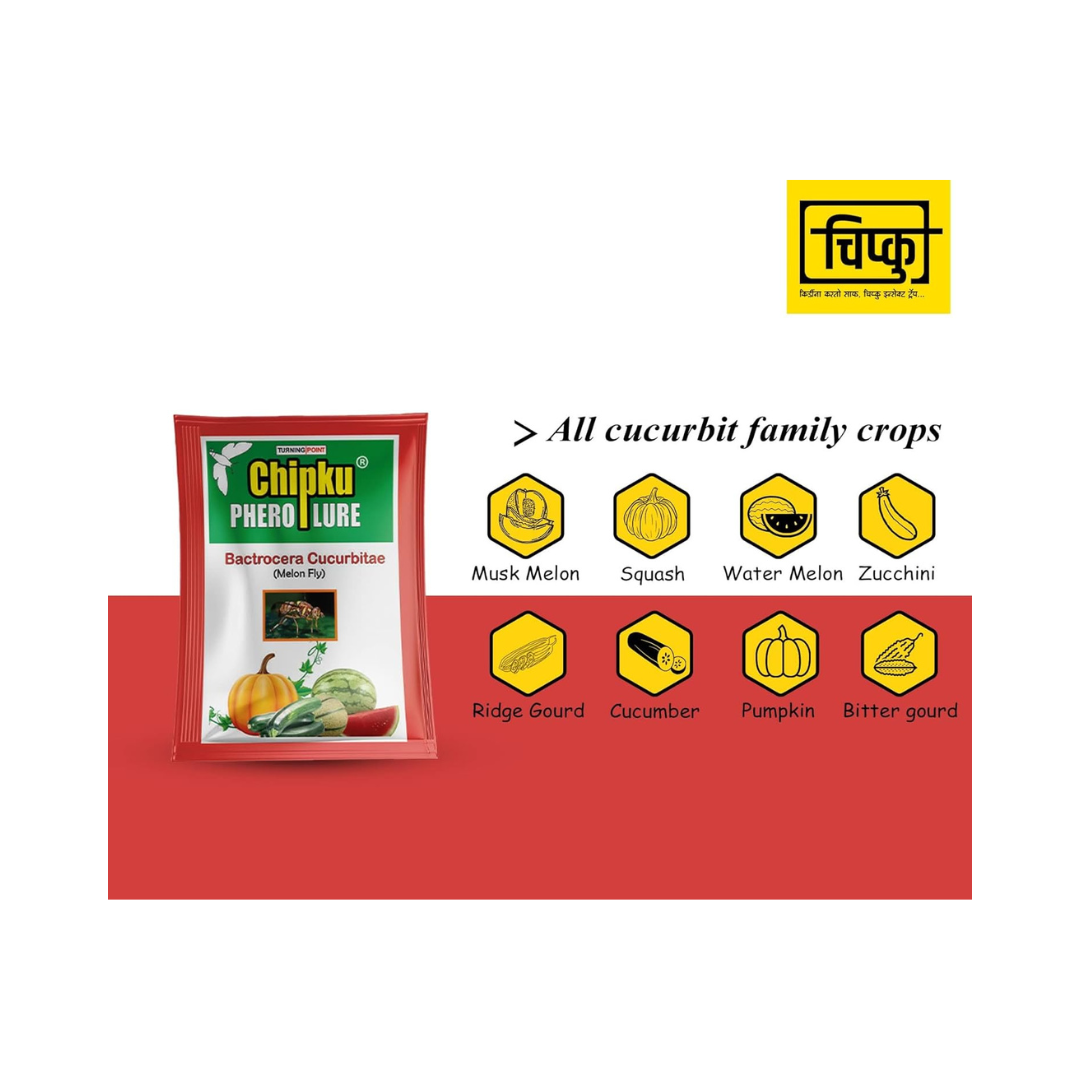 Chipku - Melon Fly bactocera cucurbitae MacPhill/Maxplus pheromone Trap