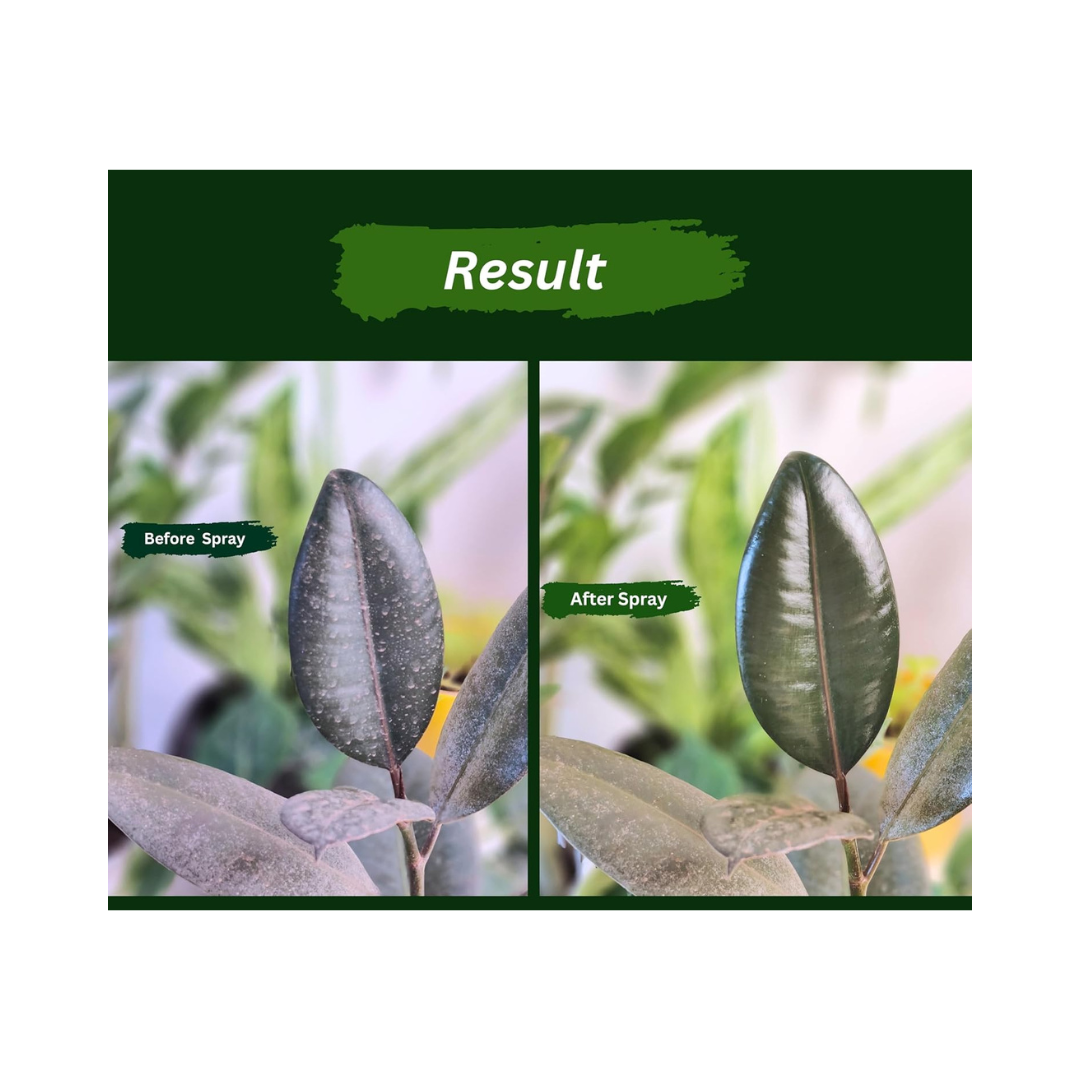 Chipku - Neem Plant Guard Spray | Buy Online at Best Price - DesiKheti