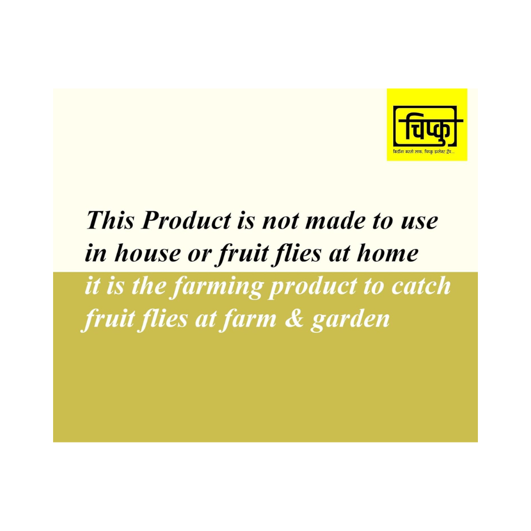 Chipku - Pheromone Trap Funnel with Scriptophaga incertulas for Catch Insect/Moth Yellow Rice stem Borer (YSB) (Scriptophaga incertulas)