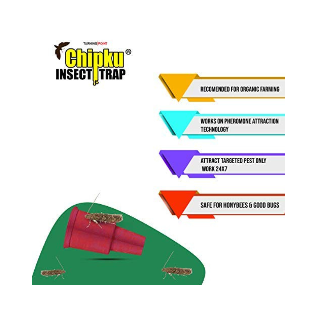 Chipku - Tomato Leaf Miner (Tuta Absoluta) Lure | Buy Online Now