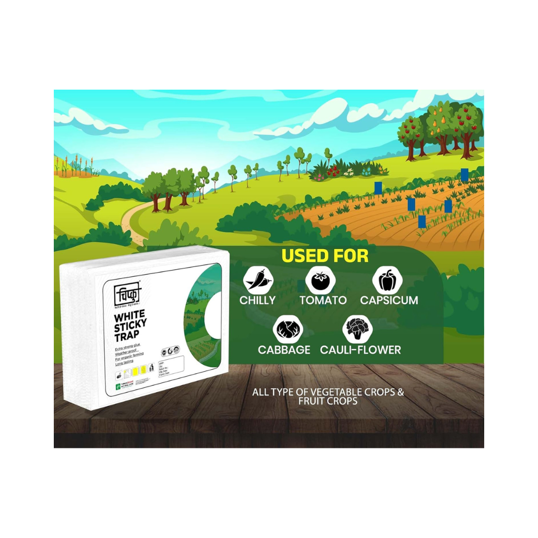 Chipku - White Sticky Trap Size A5 | Buy Online at Best Price Now