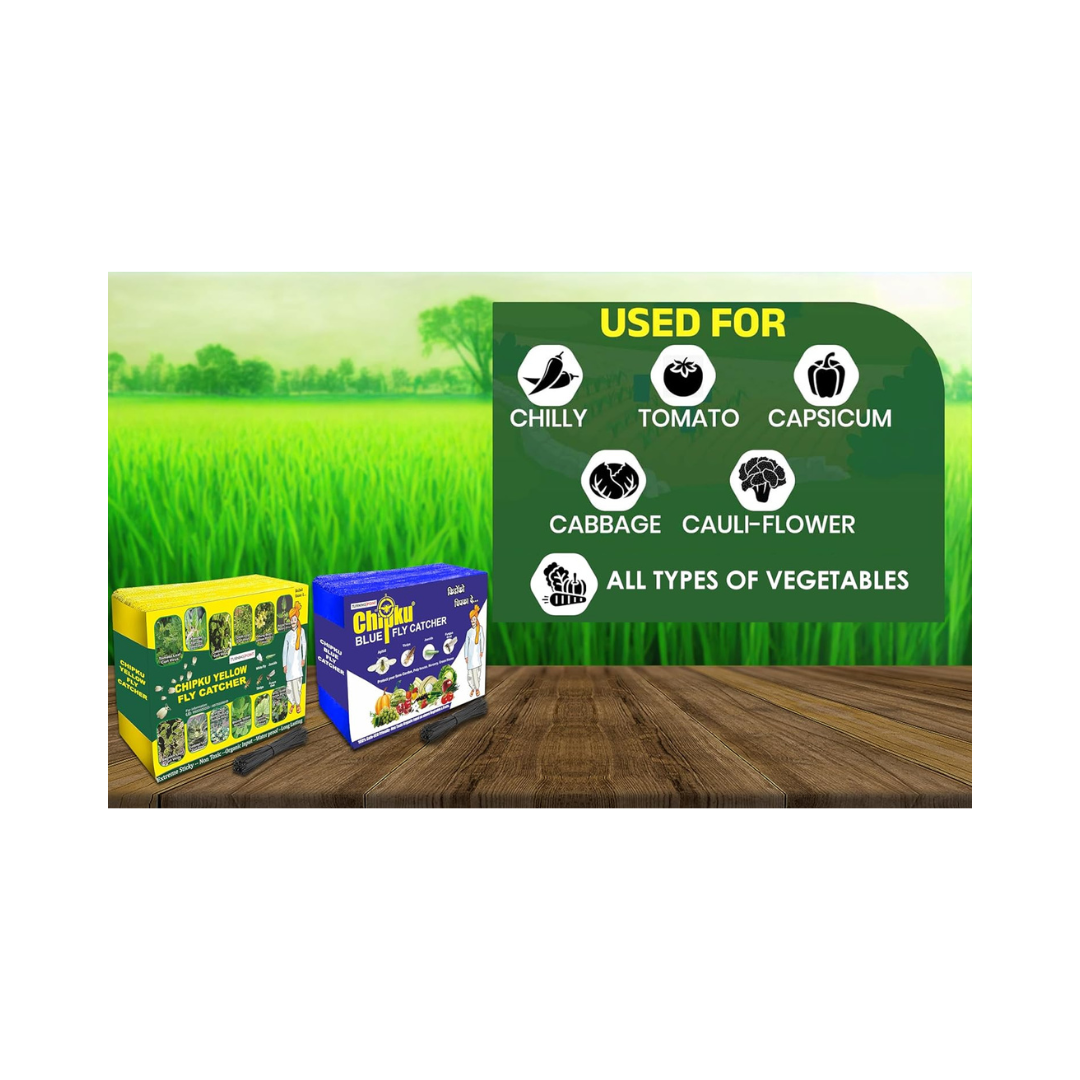 Chipku - Yellow Fly Catcher Size A5 | Buy Online at Best Price Now