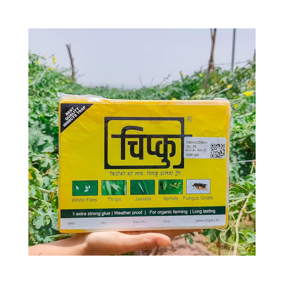 Chipku - Yellow Sticky Trap Size A5 | Buy Online at Best Price Now