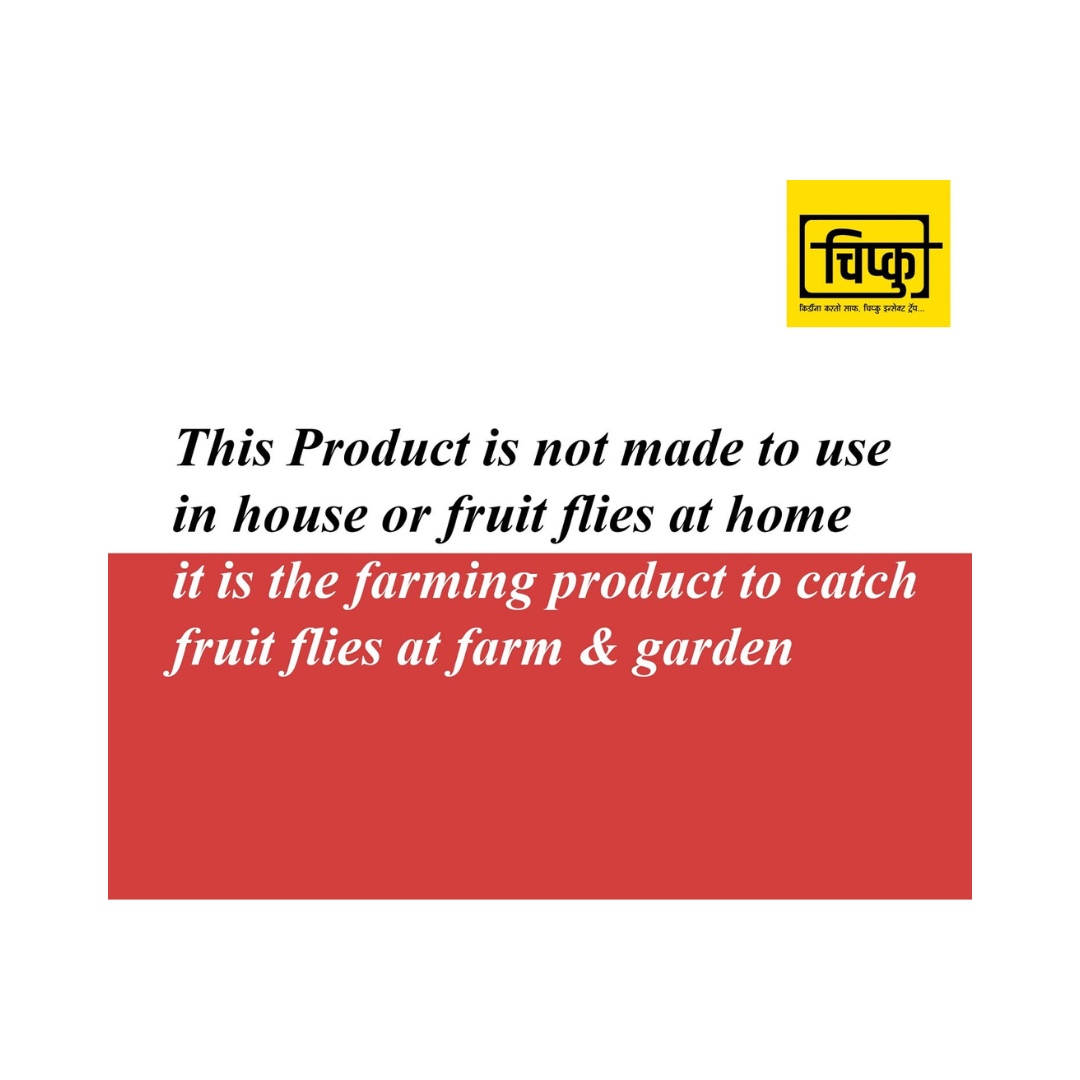 Chipku Melonfly Glass Trap phermone Trap for bactocera Cucurbitae/Insect Trap for Orchards and Climer Crops with pheromone Lure