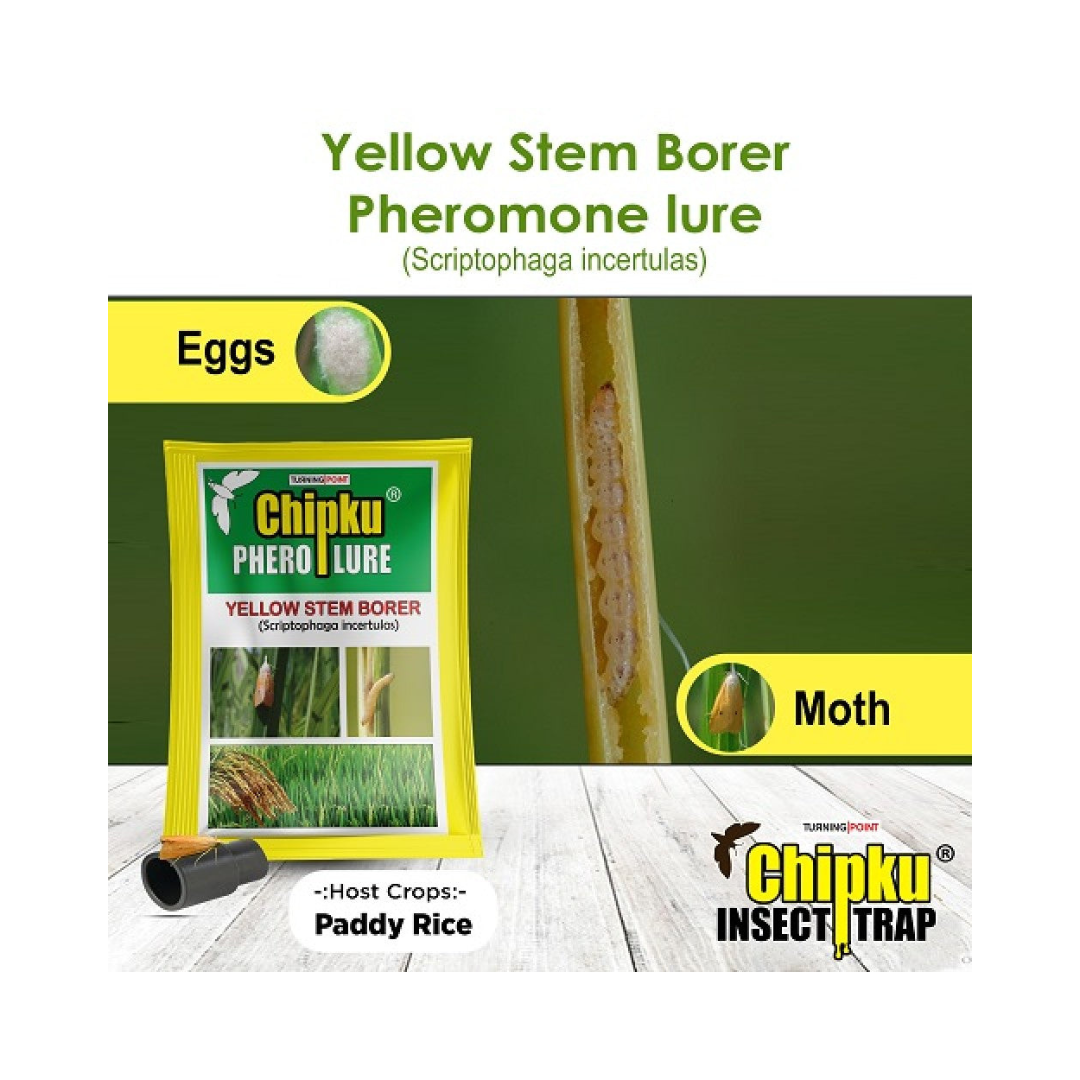 Chipku - Yellow Stem Borer (Scriptophaga Incertulas) Lure | Buy Online