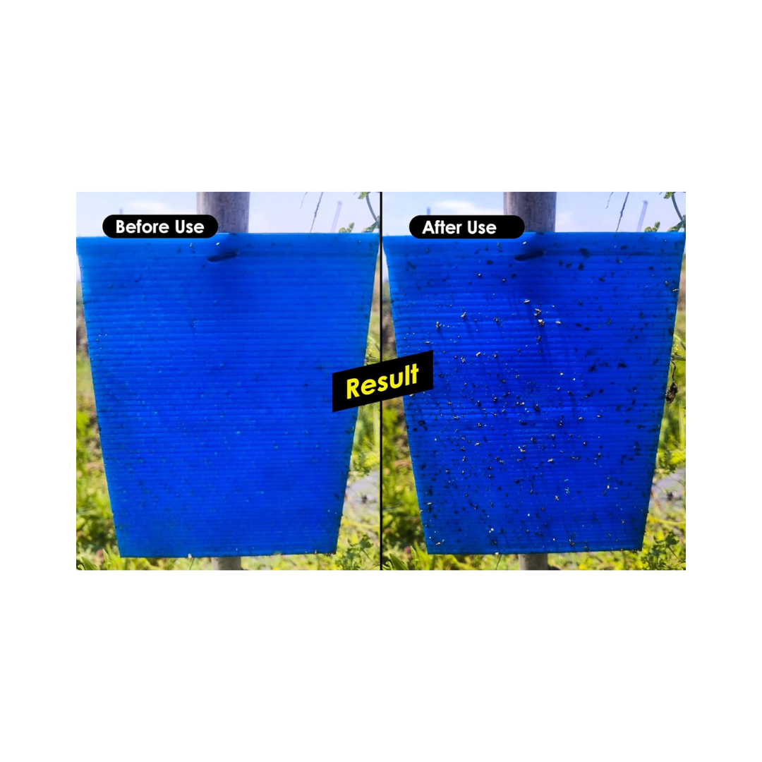 Chipku - Yellow + Blue Fly Catcher Size A4 | Buy Online at Best Price