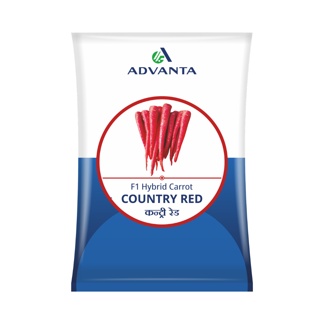 Country Red Carrot Seeds - Advanta | F1 Hybrid | Buy Online at Best Price