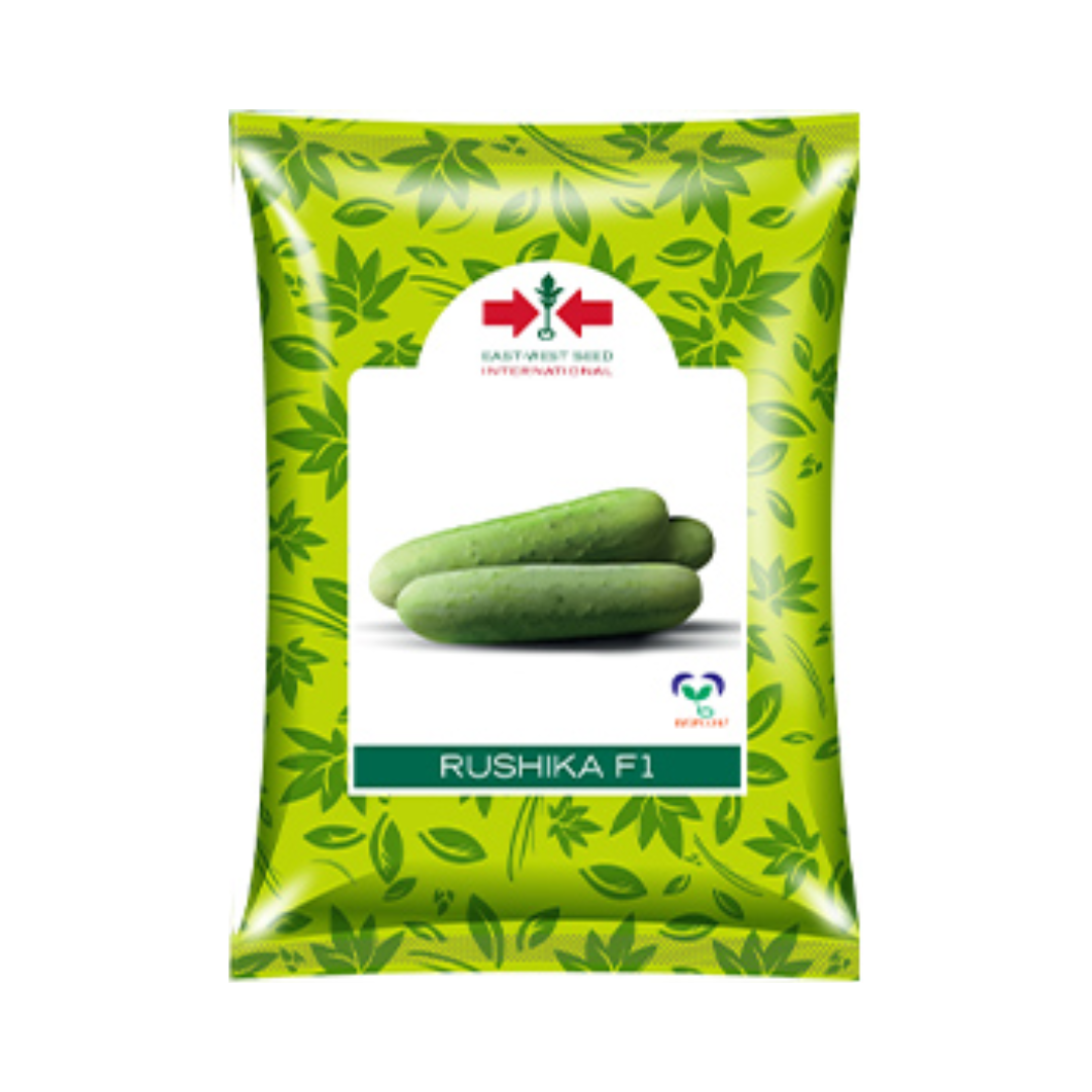 Rushika Cucumber Seeds - East West | F1 Hybrid | Buy Online - DesiKheti