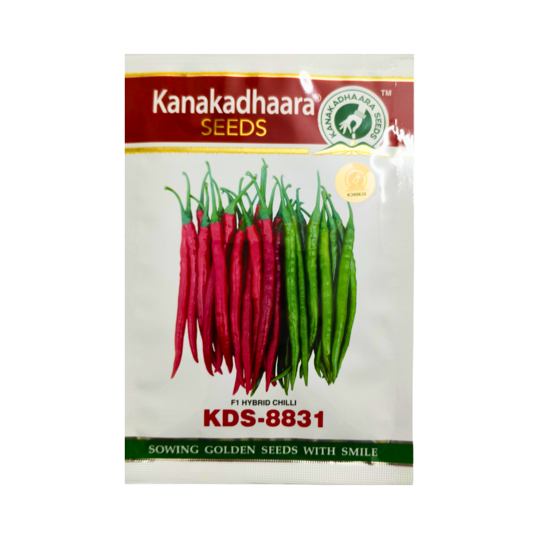 KDS-8831 Chilli Seeds - Kanakadhaara Seeds | Buy Online - DesiKheti