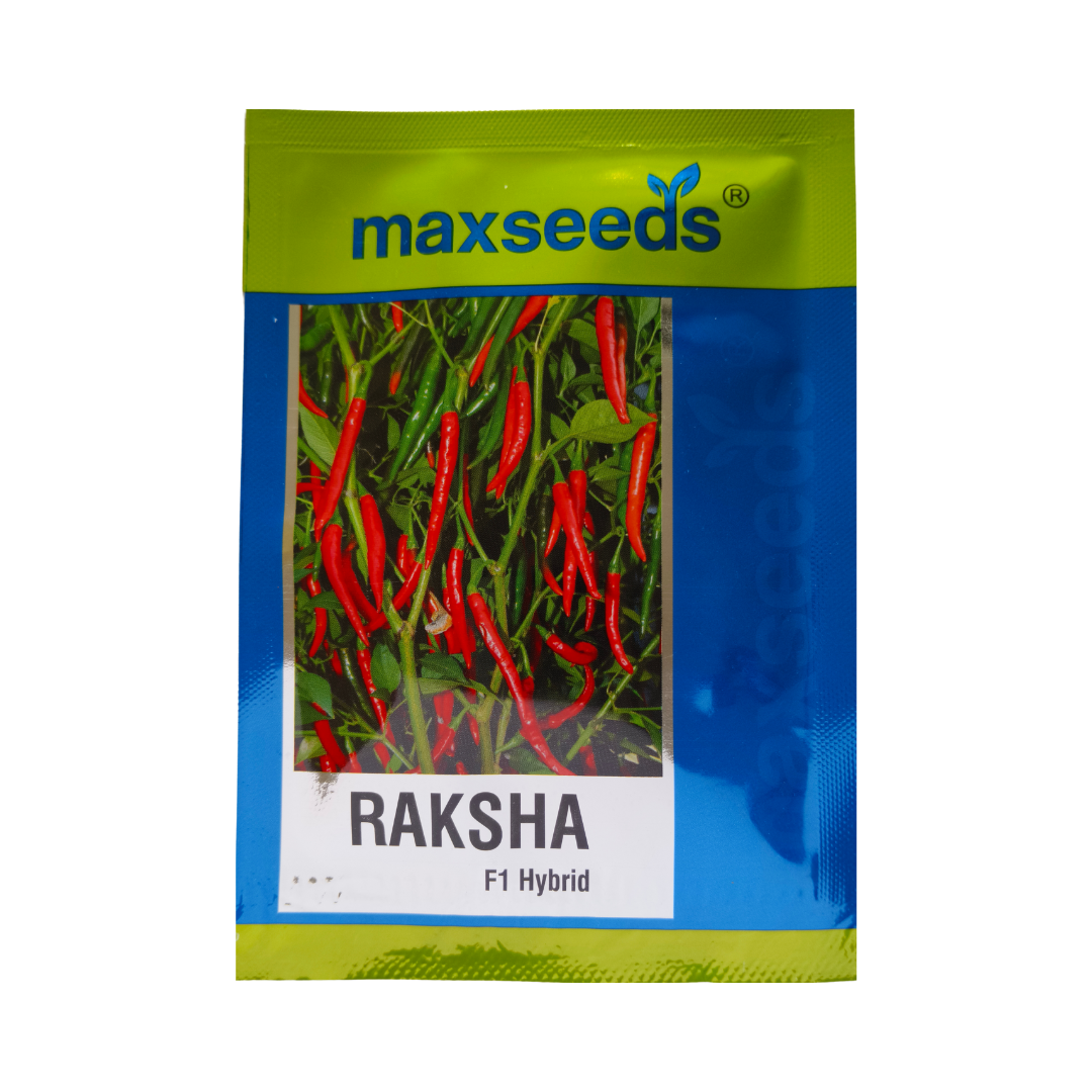 Raksha Chilli Seeds - Max | F1 Hybrid | Buy Online at Best Price
