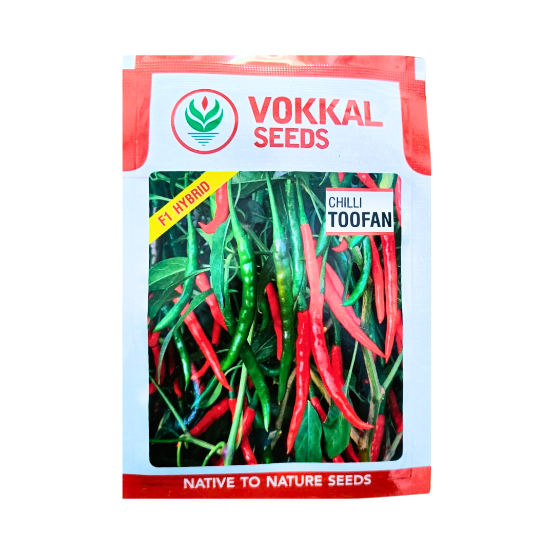 Toofan Chilli Seeds - Vokkal Seeds | F1 Hybrid | Buy Online Now