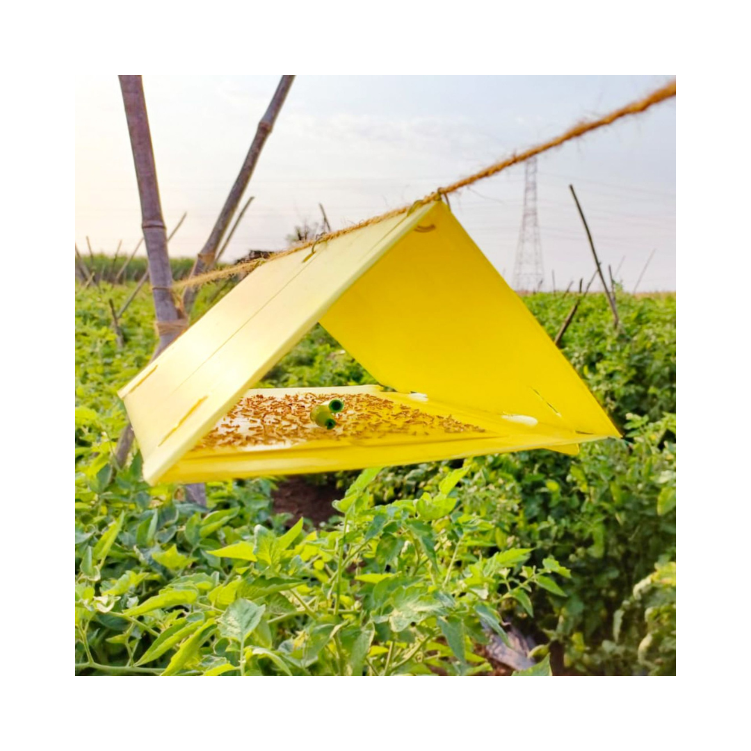 Delta Trap With Tu Tom Lure - Green Revolution | Buy Online Now