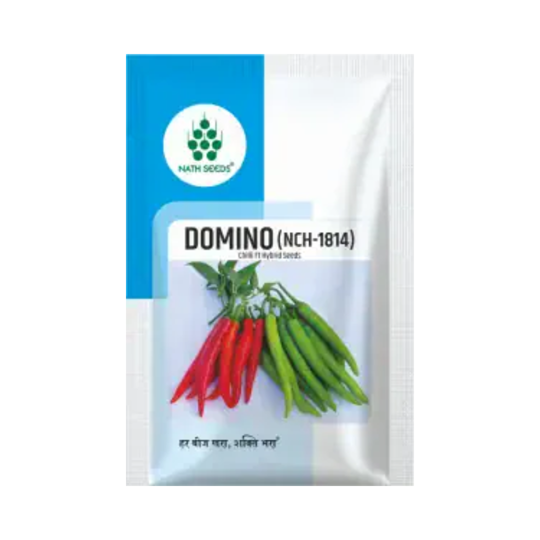 Domino (NCH-1814) Chilli Seeds