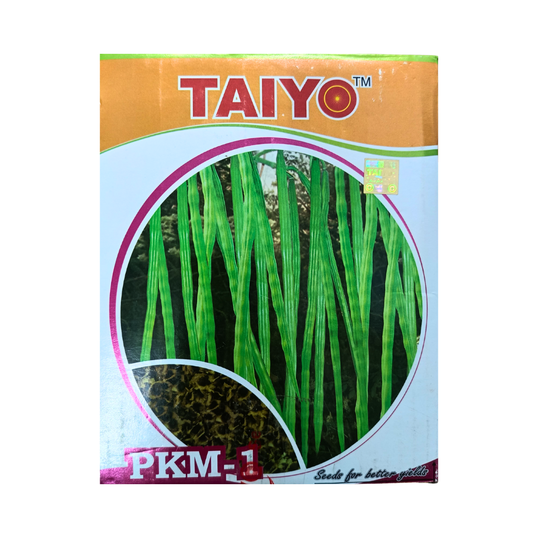 PKM-1 Drumstick Seeds