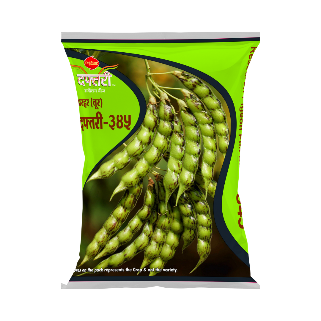 DPV-345 Red Gram Seeds - Daftari | Buy Online at Best Price - DesiKheti