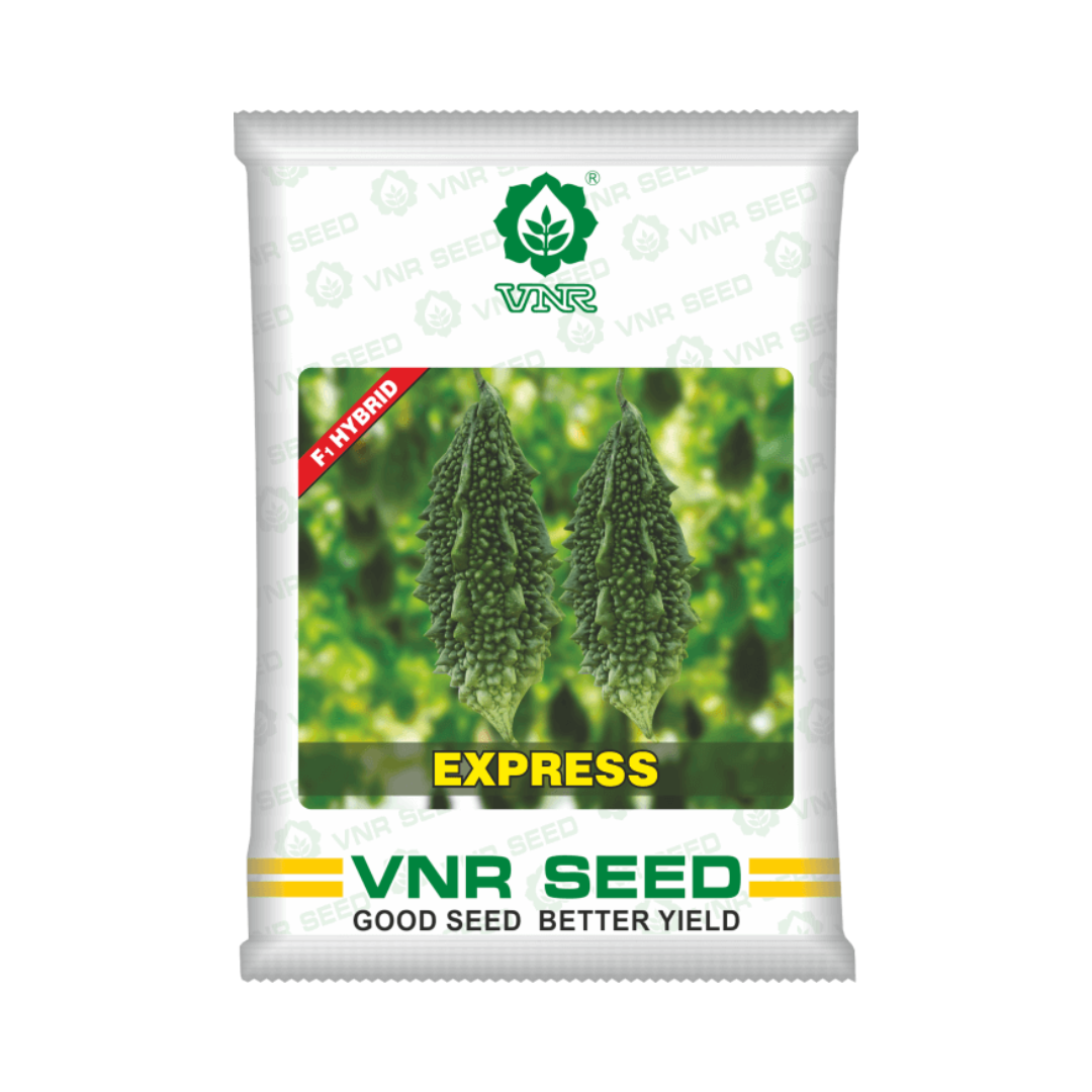 Express Bitter Gourd Seeds - VNR | F1 Hybrid | Buy Online at Best Price