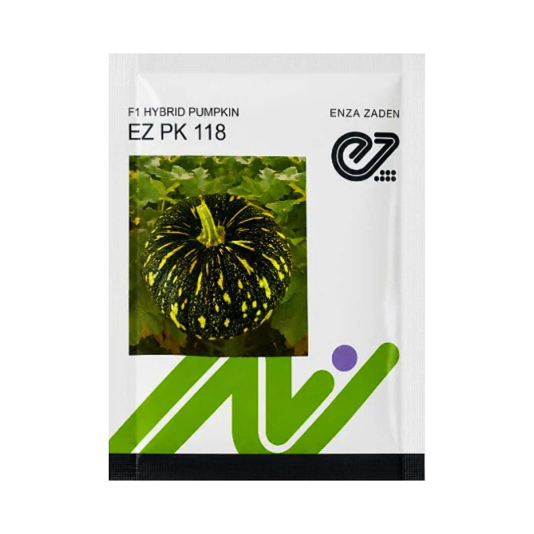 EZ PK 118 Pumpkin Seeds - Enza Zaden | F1 Hybrid | Buy Online - DesiKheti