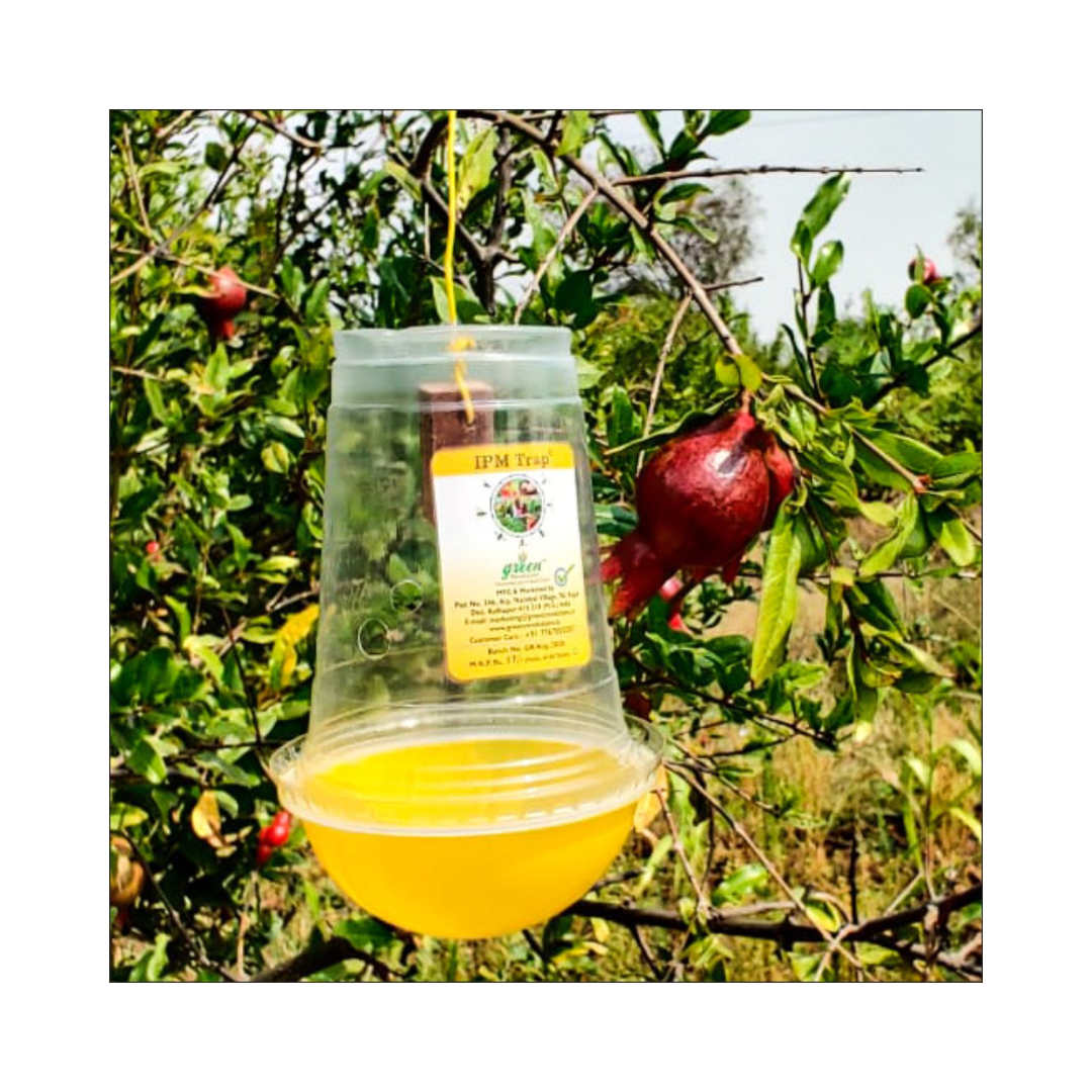 Fruit Fly Lure for Fruit Crop (Pack of 10) - Green Revolution | Buy Now