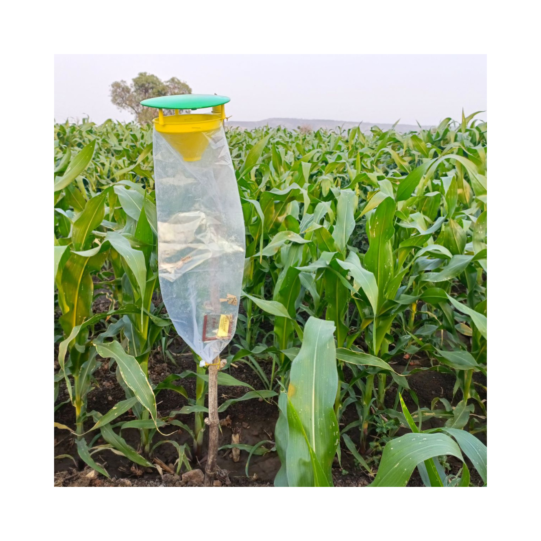 Funnel Trap With FAW Lure - Green Revolution | Buy Online Now