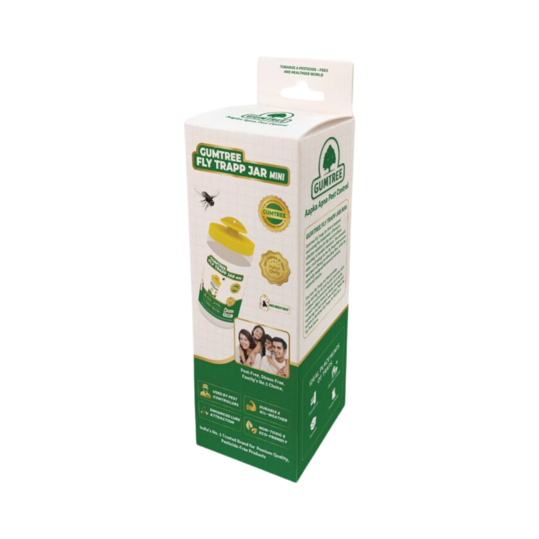 Gumtree Fly Trapp Jar Mini | Buy Online at Best Price - DesiKheti