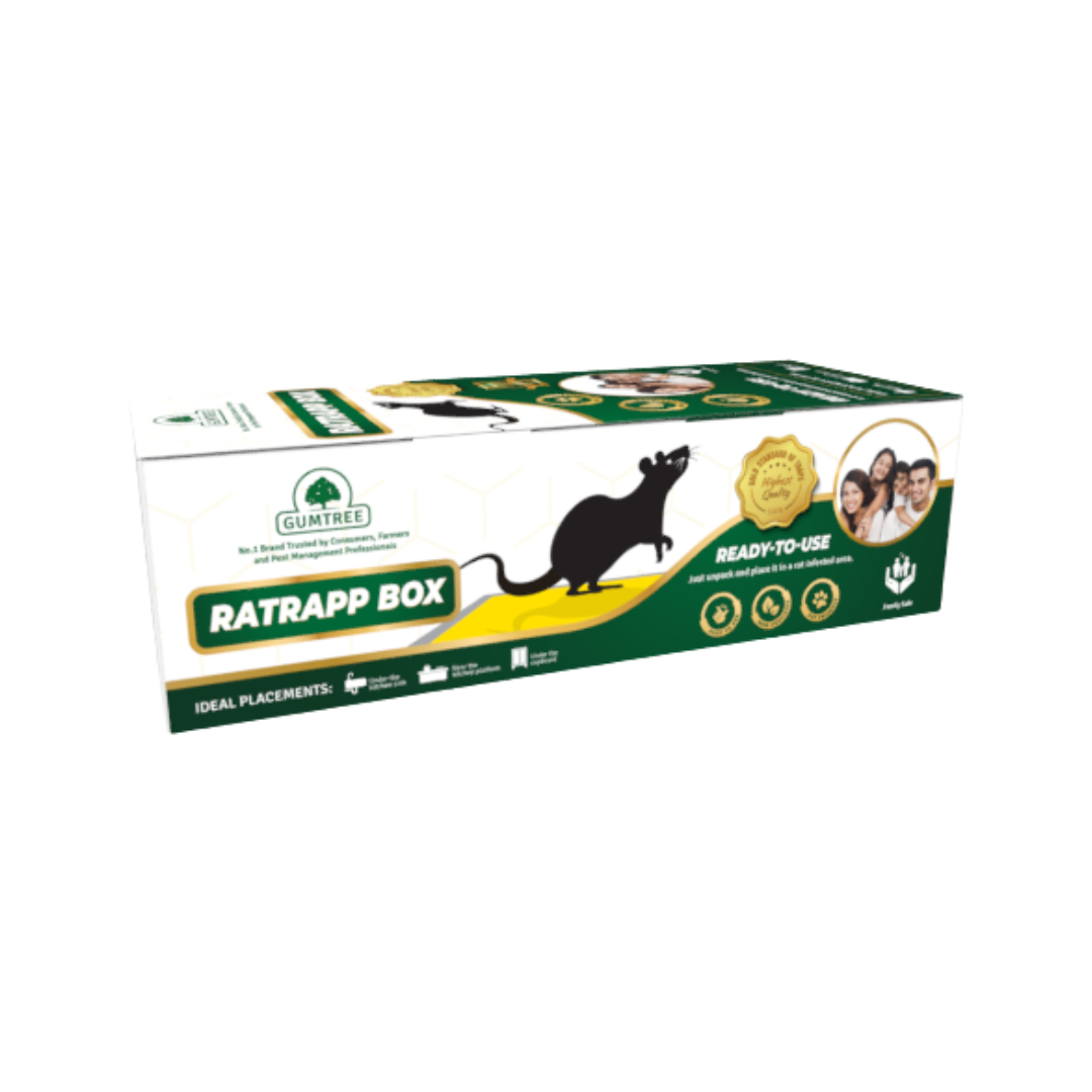 Gumtree Ratrapp Box (Rat Glue Trap) | Buy Online at Best Price Now