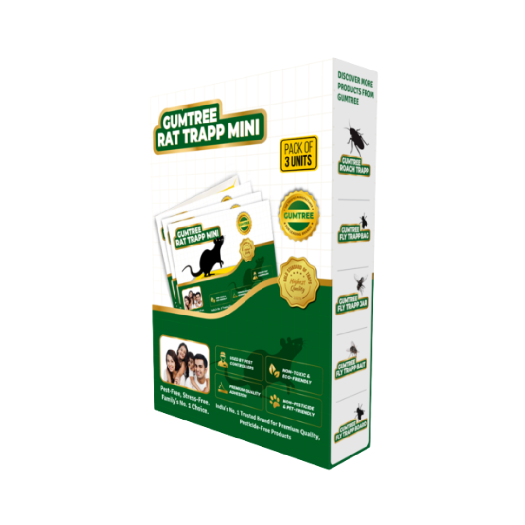 Gumtree Ratrapp Mini (Rat Glue Trap – Small) Pack of 3 | Buy Online