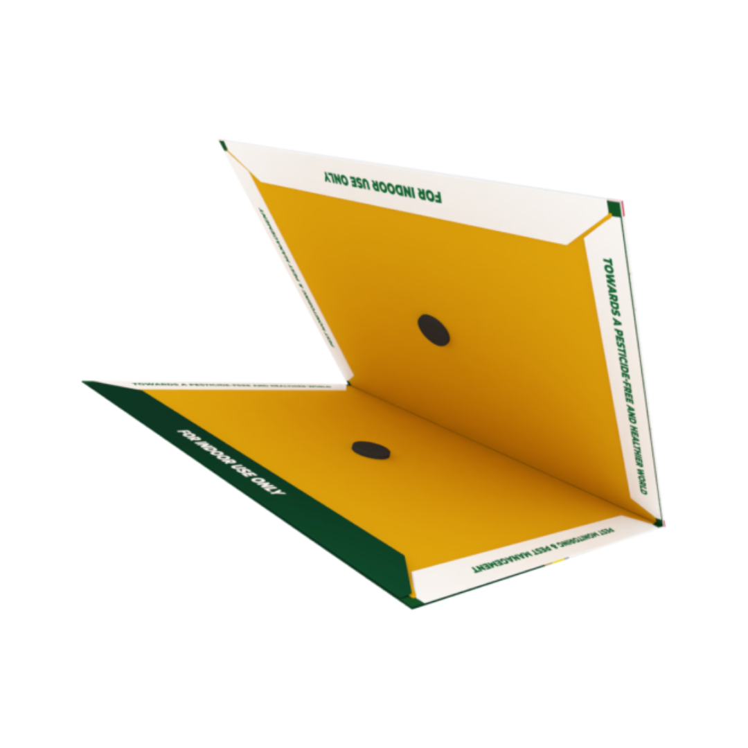 Gumtree RatTrapp Max ( Pack of 2) | Buy Online at Best Price Now