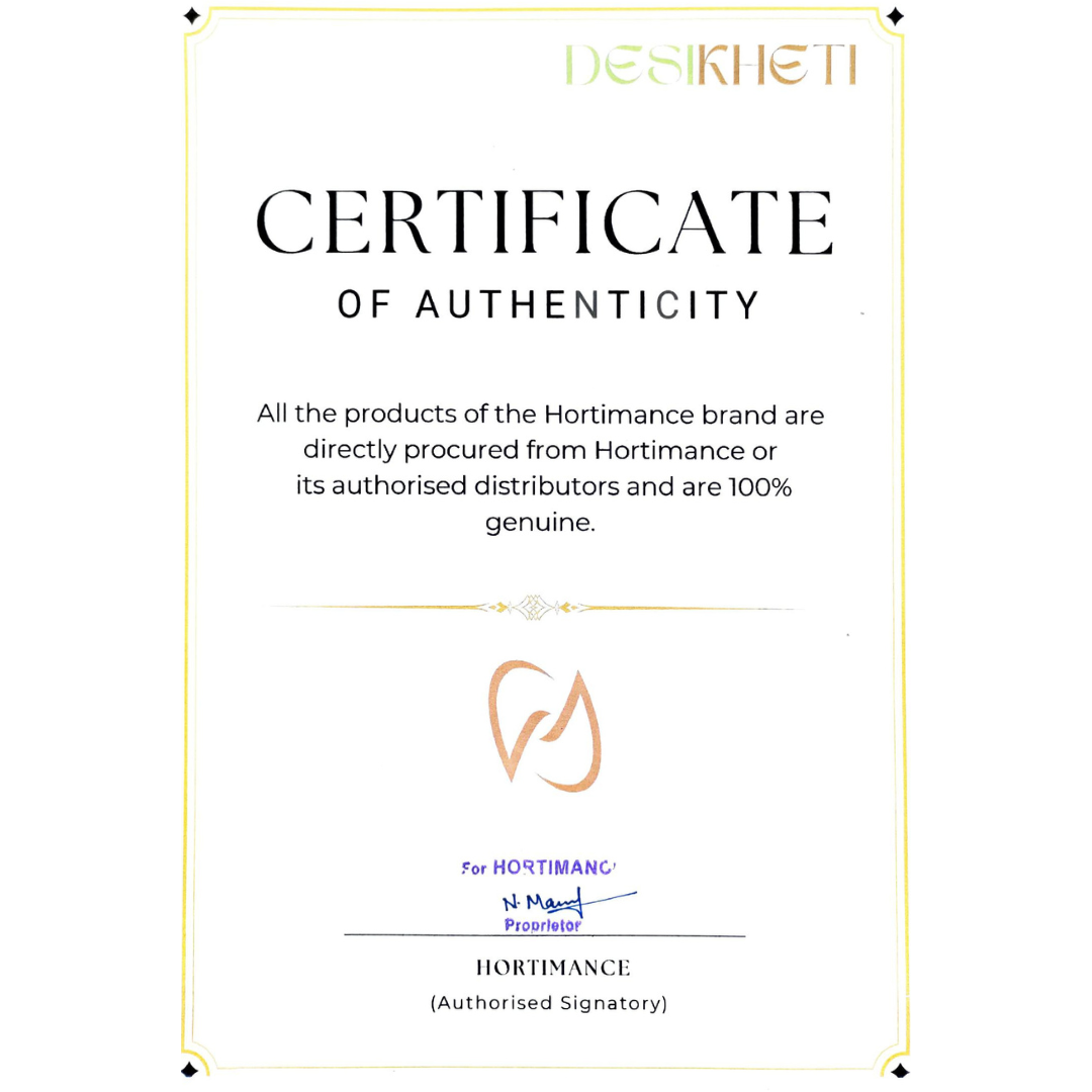 HORTIMANCE CERTIFICATE OF AUTHENTICITY