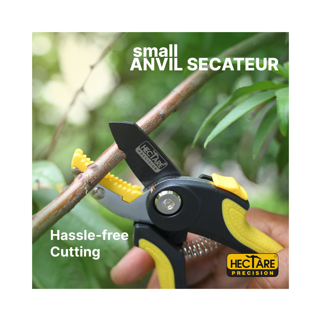 Hectare Precision Anvil Pruning Secateur - Small | Buy Online Now