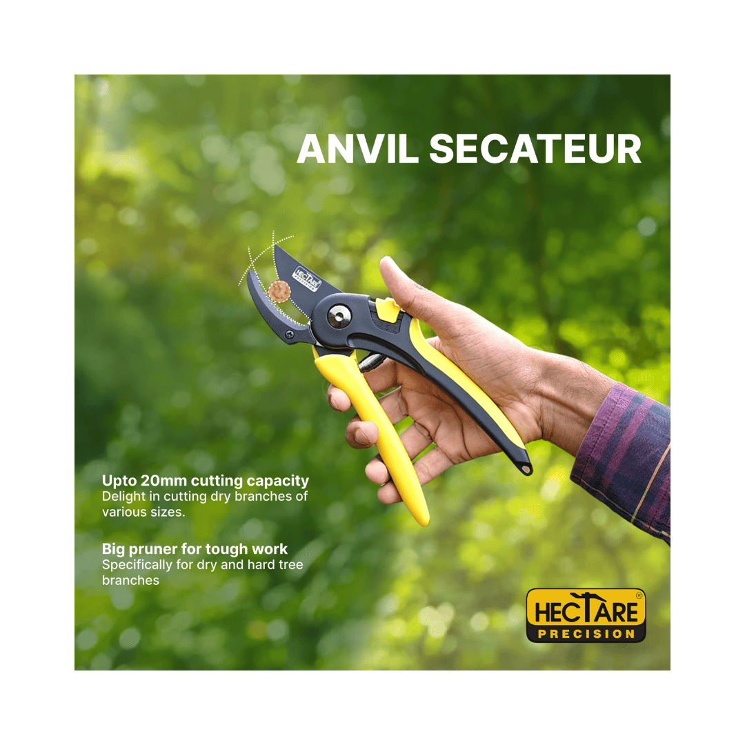 Hectare Precision Anvil Pruning Secateur - Large | Buy Online Now