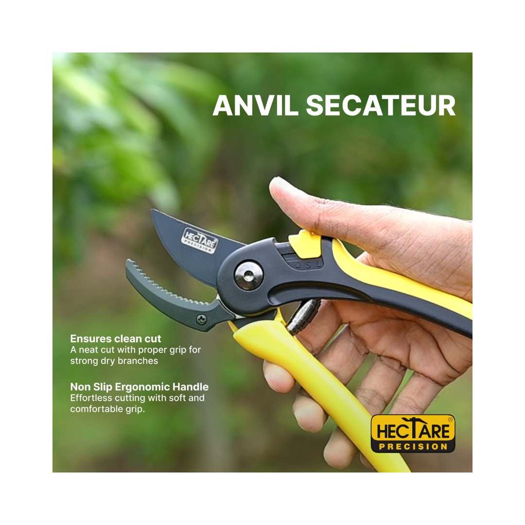 Hectare Precision Anvil Pruning Secateur - Large | Buy Online Now