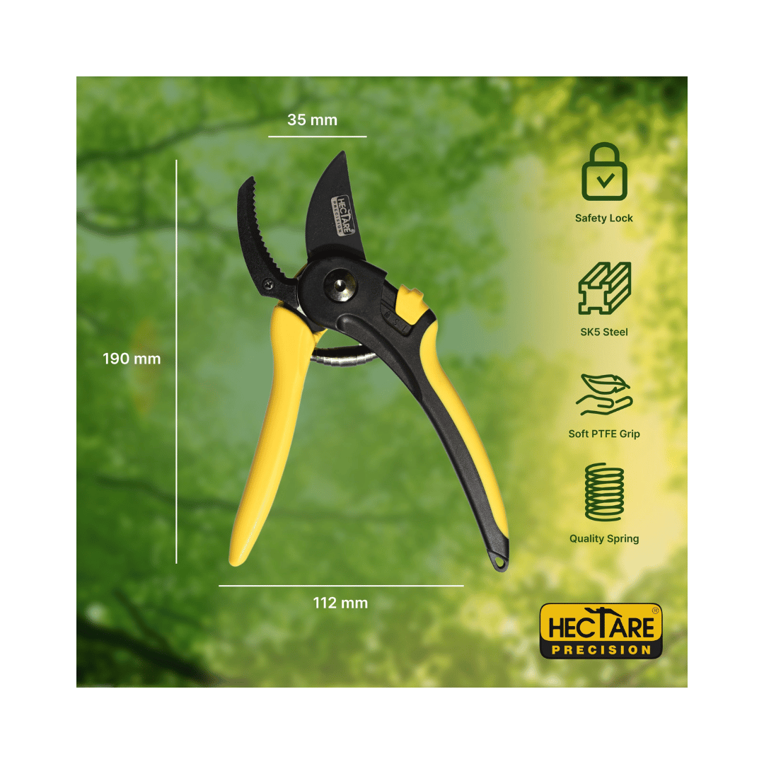 Hectare Precision Anvil Pruning Secateur - Large | Buy Online Now