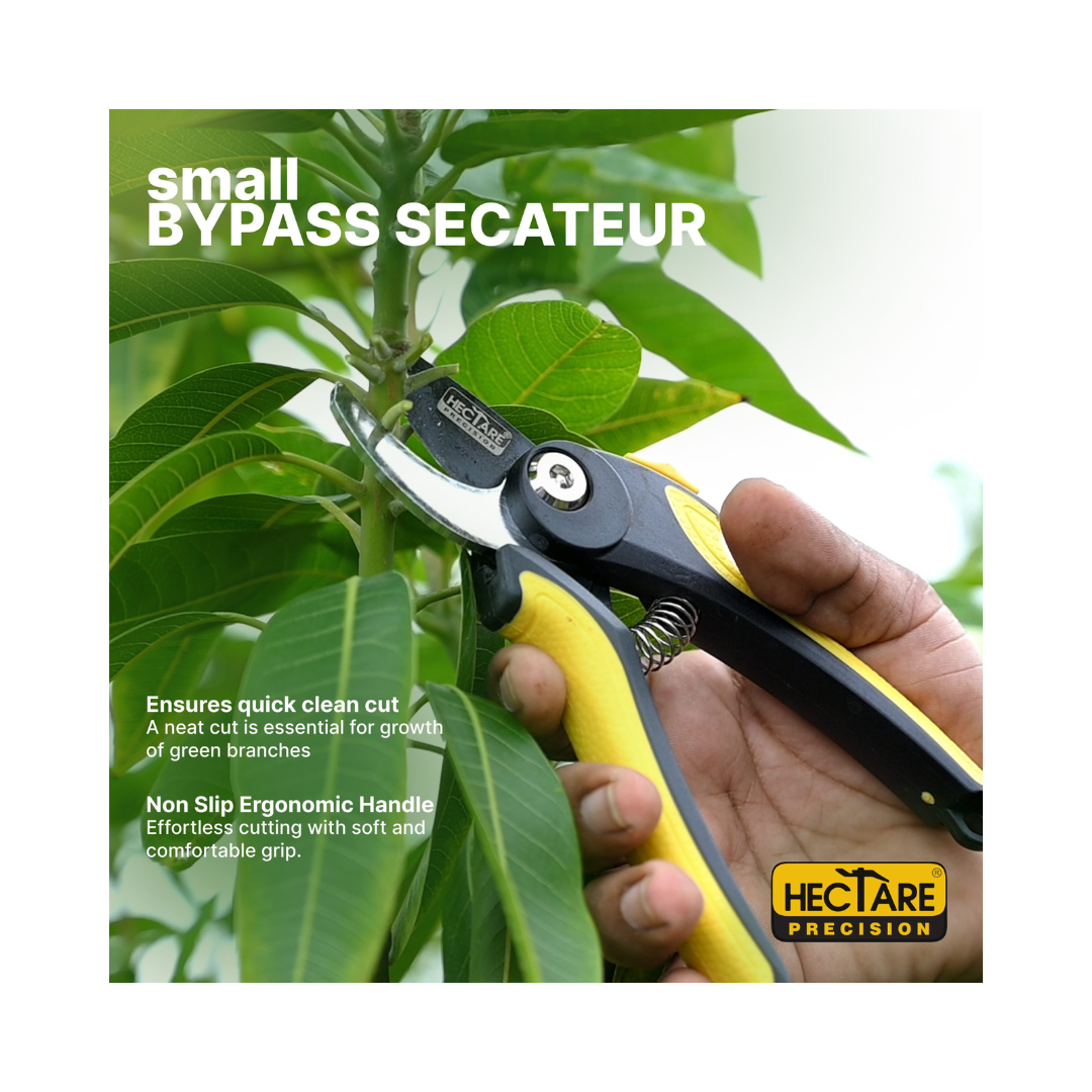 Hectare Precision Bypass Pruning Secateur - Small | Buy Online Now