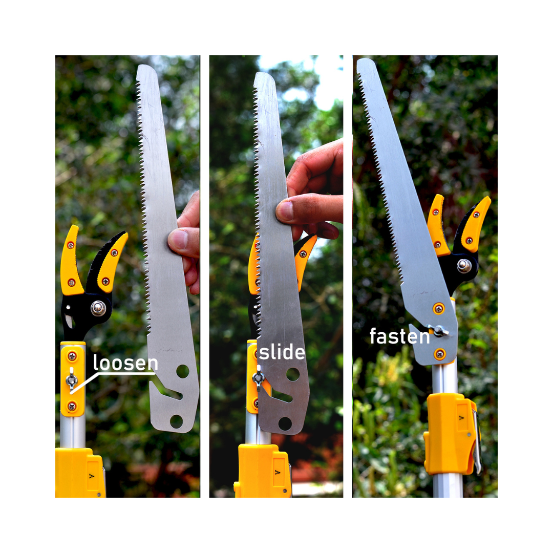 Telescopic Cut and Hold Fruit Picker, Pruner and Saw - Hectare | Buy
