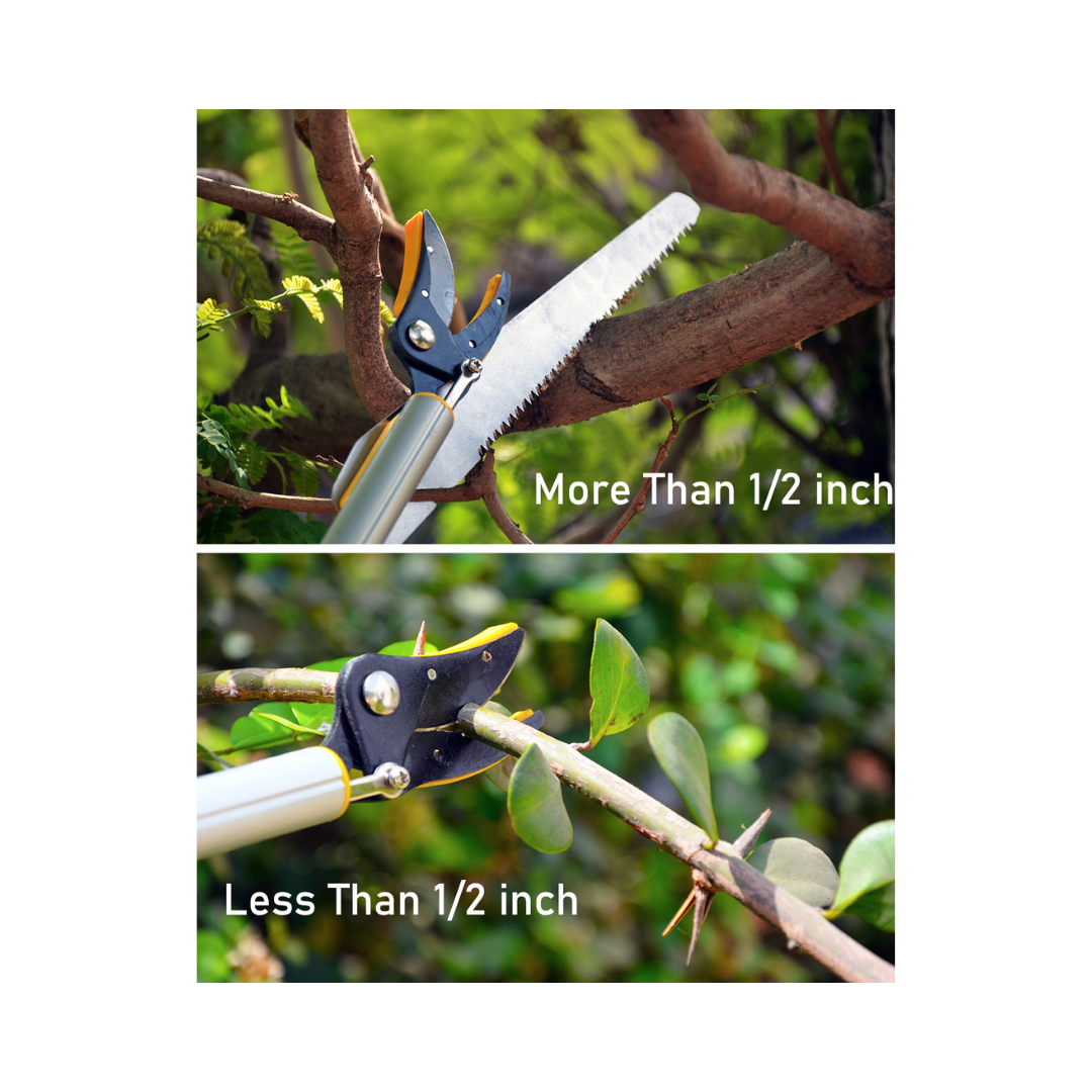 Telescopic Cut and Hold Fruit Picker, Pruner and Saw - Hectare | Buy