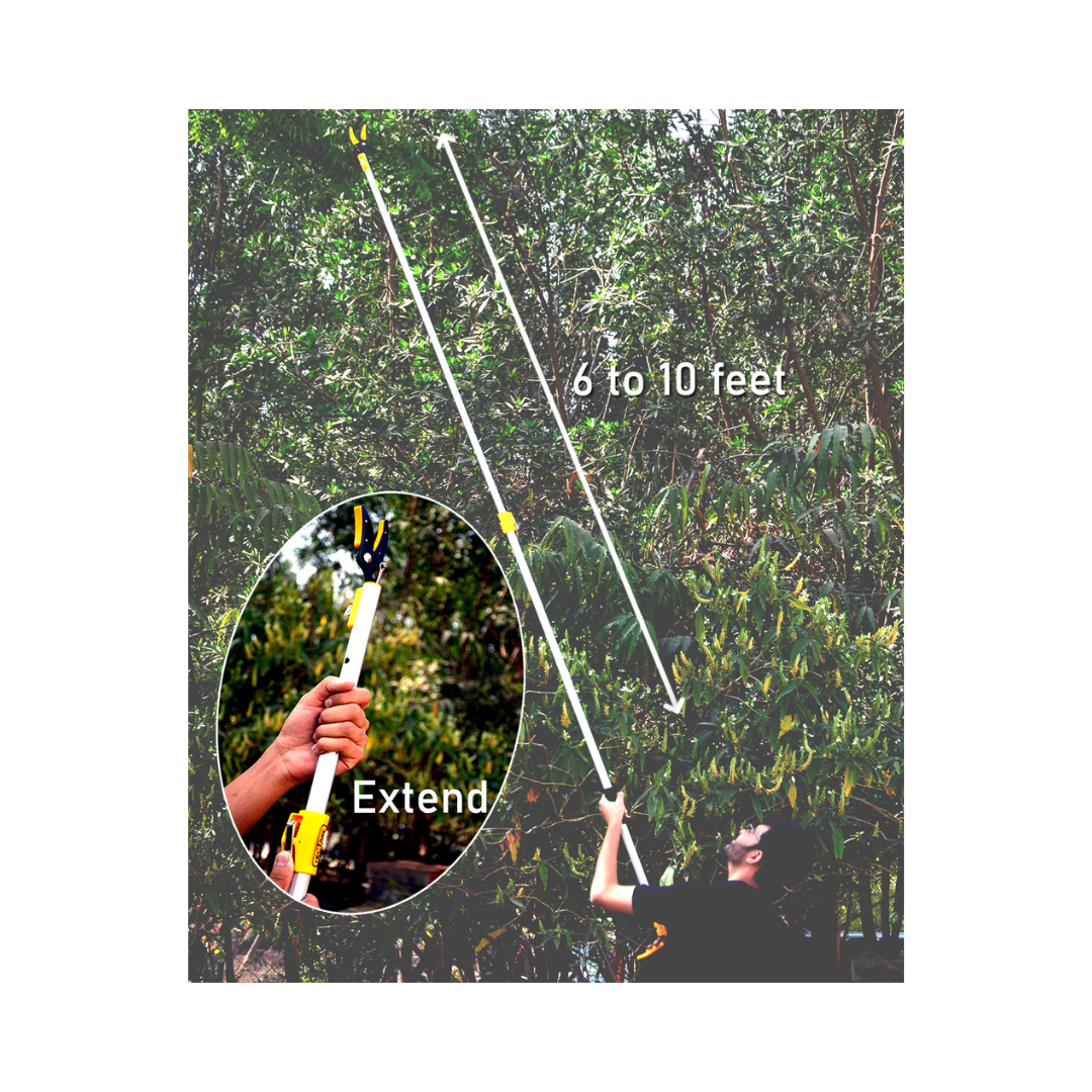 Telescopic Cut and Hold Fruit Picker, Pruner and Saw - Hectare | Buy