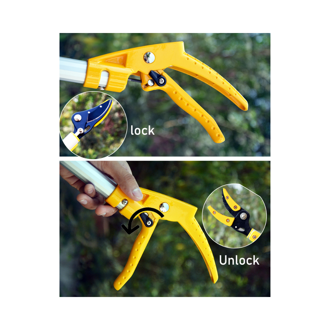 Telescopic Cut and Hold Fruit Picker, Pruner and Saw - Hectare | Buy