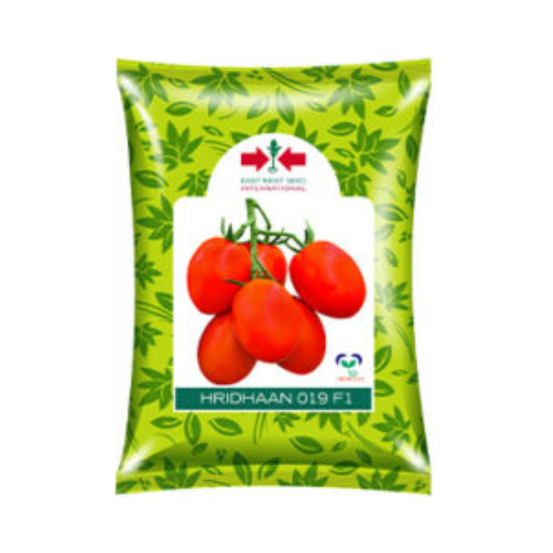 Hridhaan 019 Tomato seeds - East West | F1 Hybrid | Buy Online at Best Price