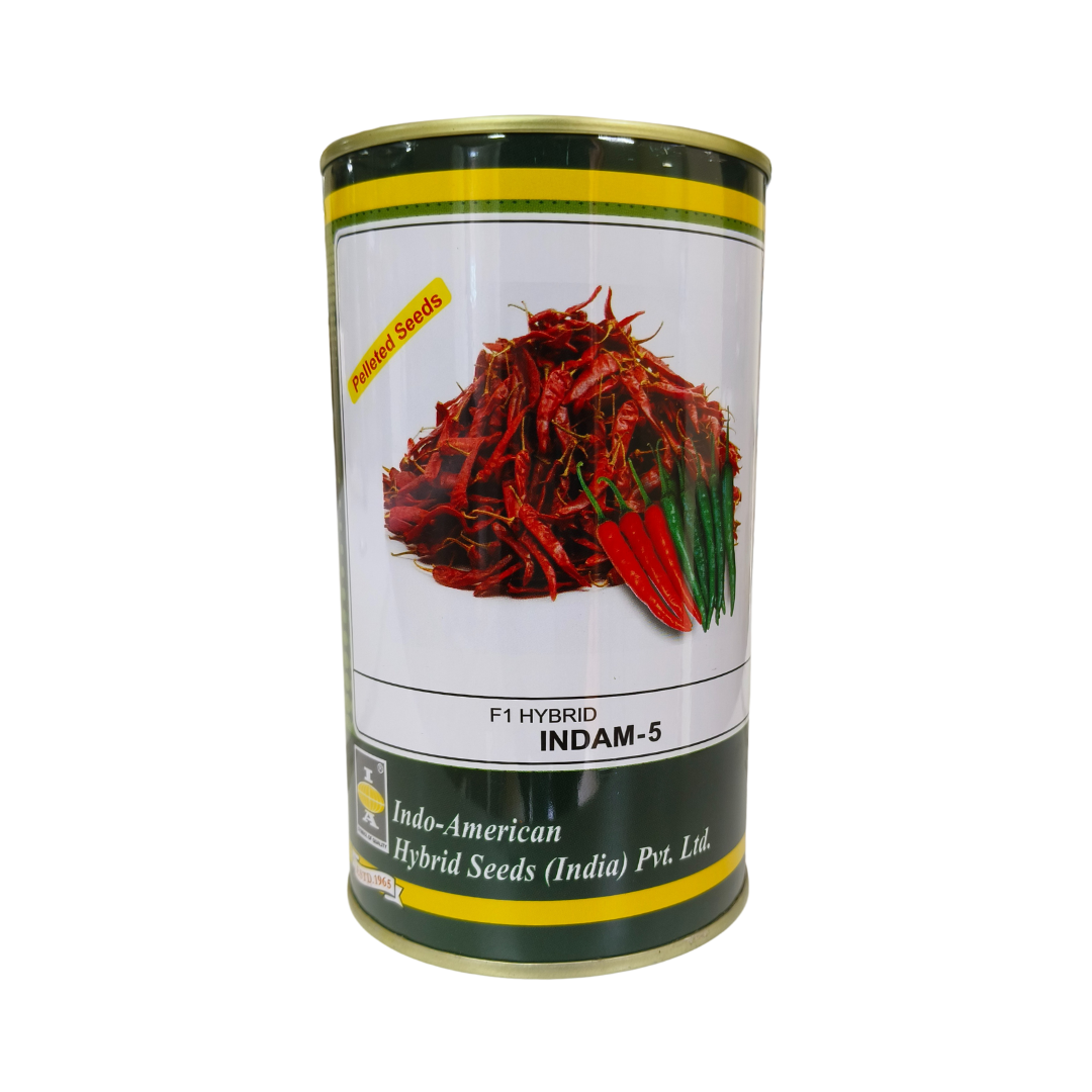 Indam 5 (Pelleted) Chilli Seeds - Indo American | F1 Hybrid | Buy Now