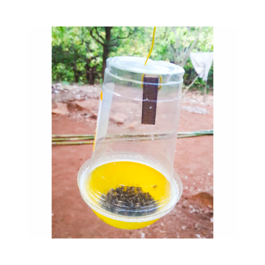 IPM Trap with Fruit Fly Lure - Green Revolution | Buy Online Now