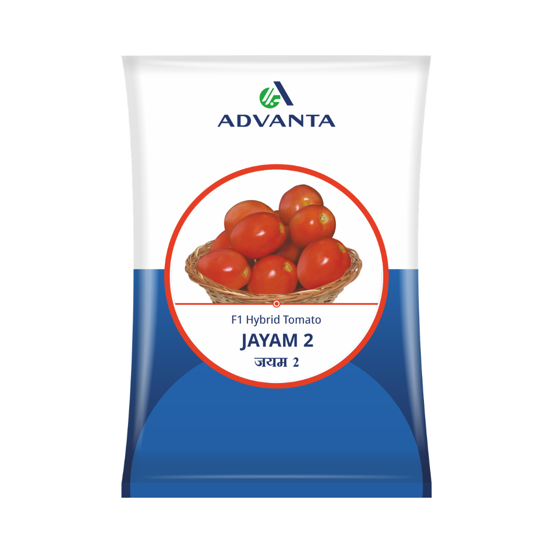 Jayam 2 Tomato Seeds - Advanta | F1 Hybrid | Buy Online at Best Price