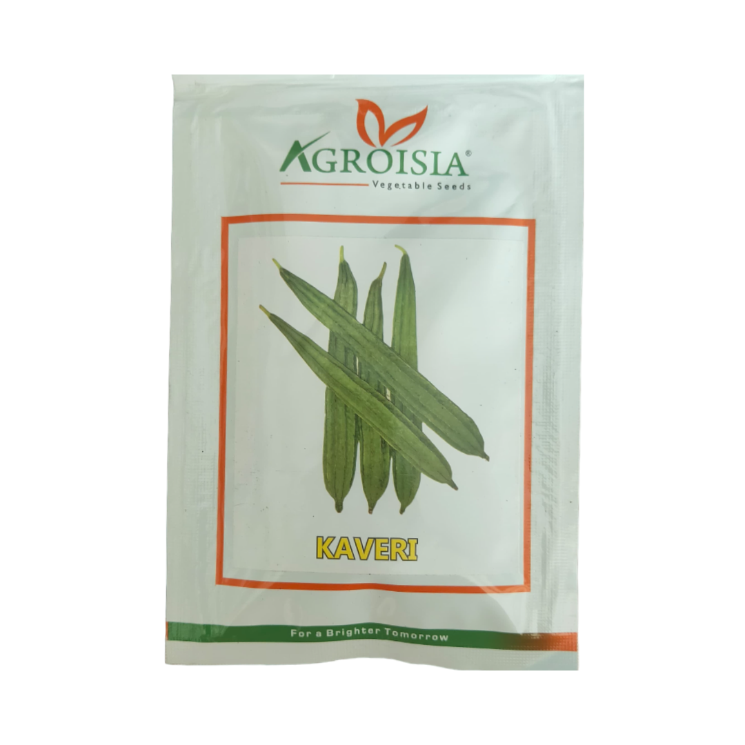 Kaveri Ridge Gourd Seeds - Agroisia | F1 Hybrid | Buy Online Now