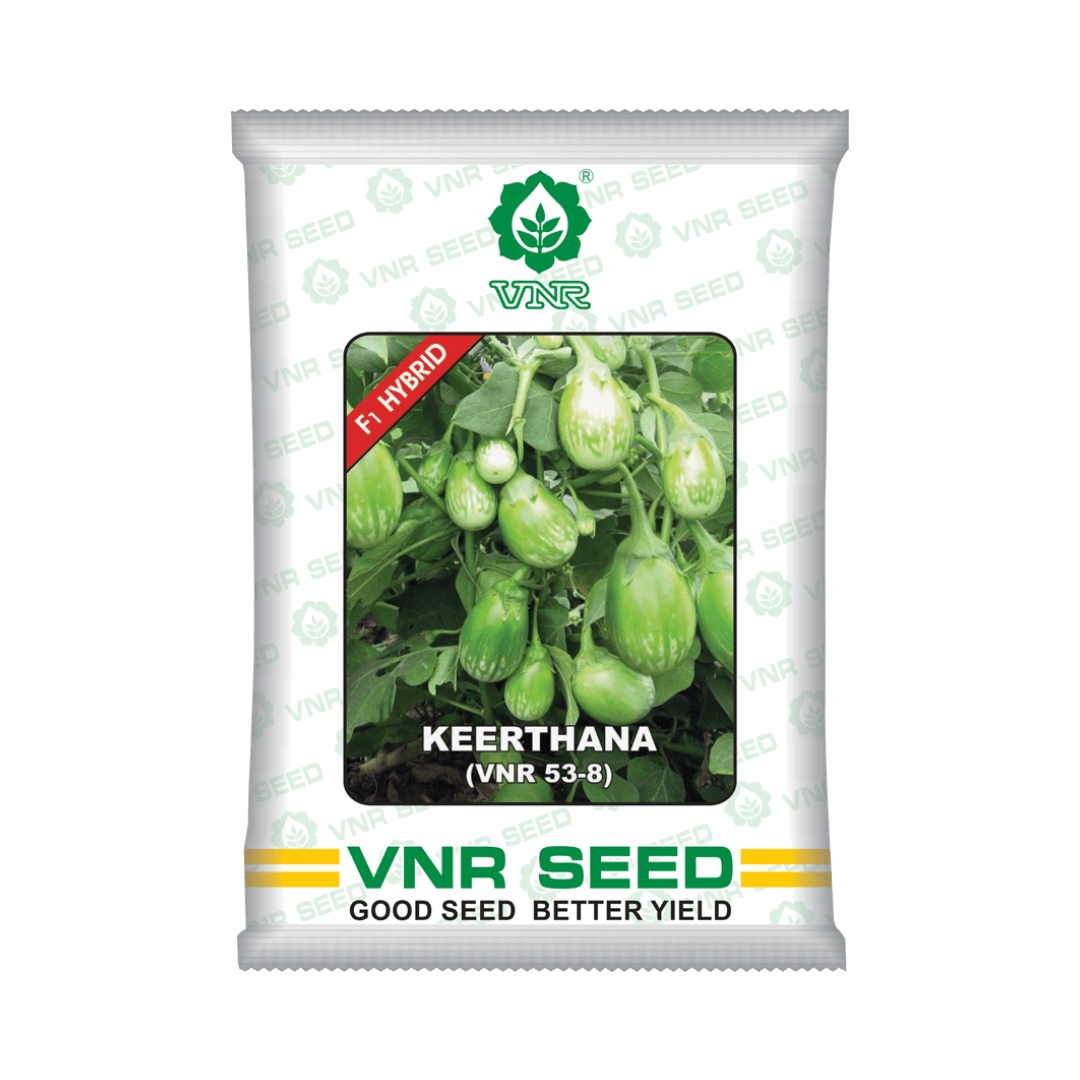 Keerthana (VNR 53-8) Brinjal Seeds - VNR | F1 Hybrid | Buy Online Now