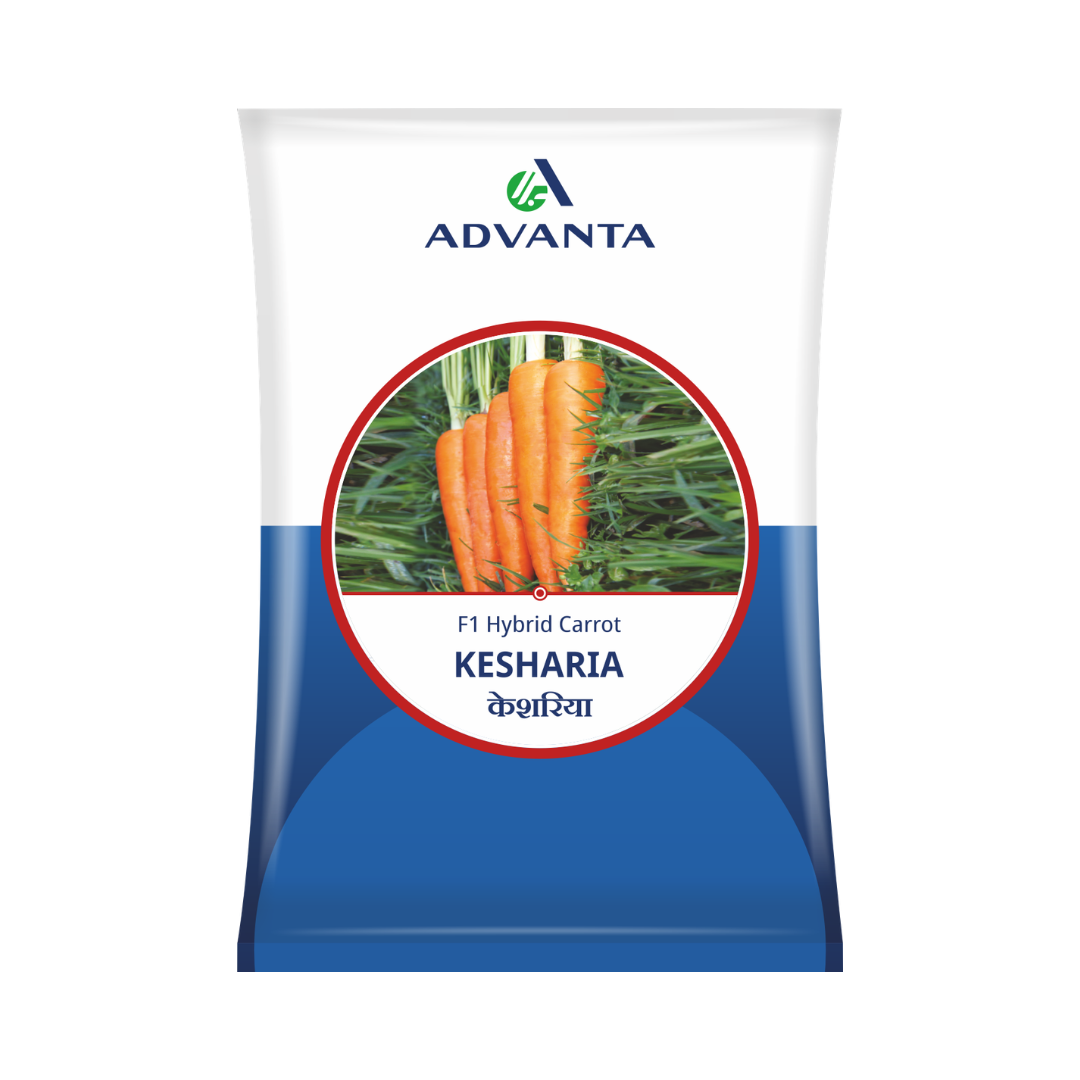Kesharia Carrot Seeds - Advanta | F1 Hybrid | Buy Online at Best Price
