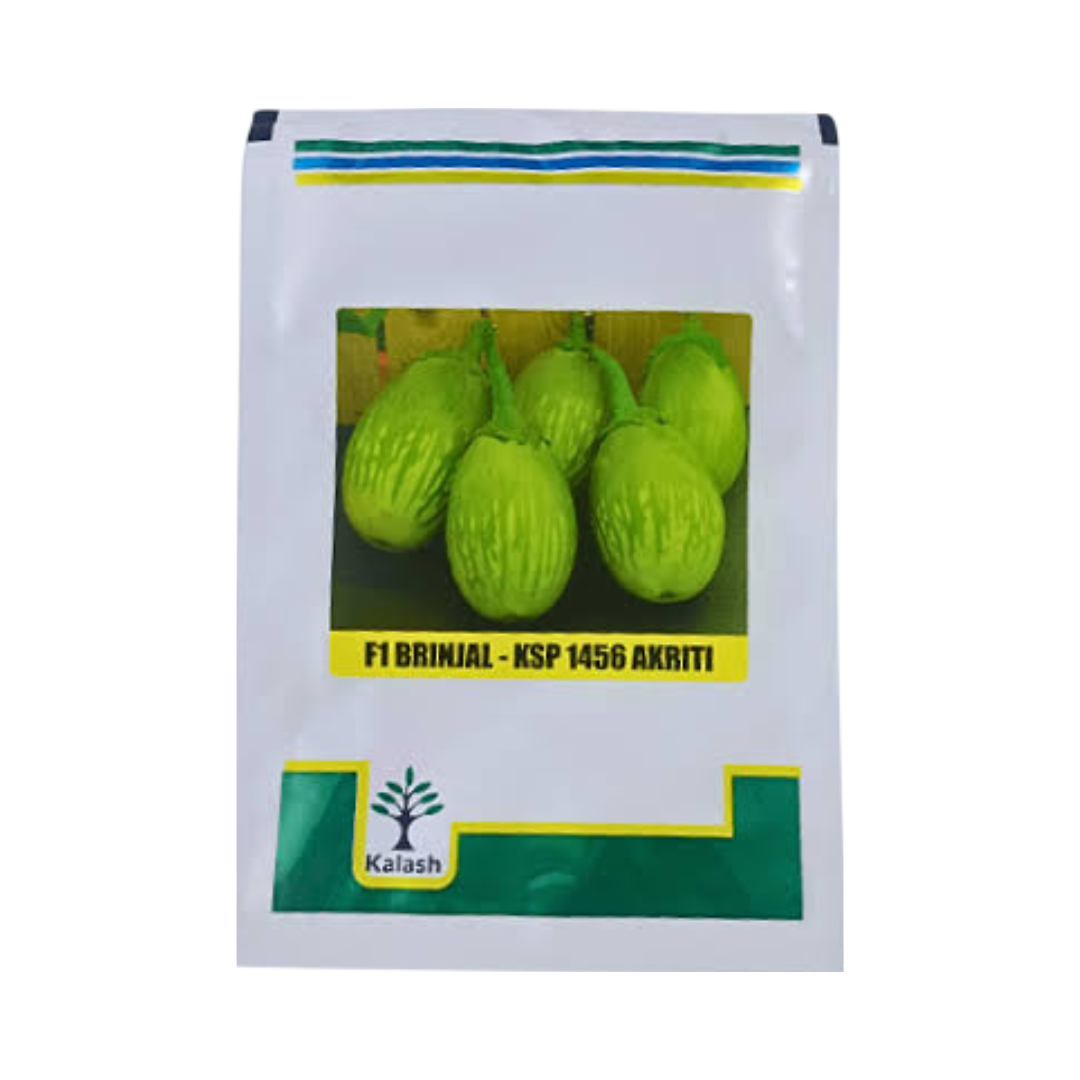 KSP 1456 Akriti Brinjal Seeds - Kalash | F1 Hybrid | Buy Online at Best Price