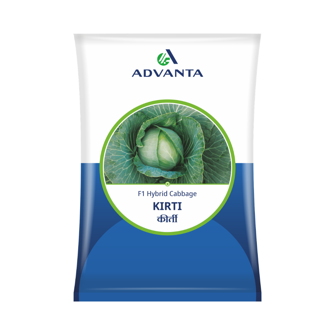 Kirti Cabbage Seeds - Advanta | F1 Hybrid | Buy Online at Best Price